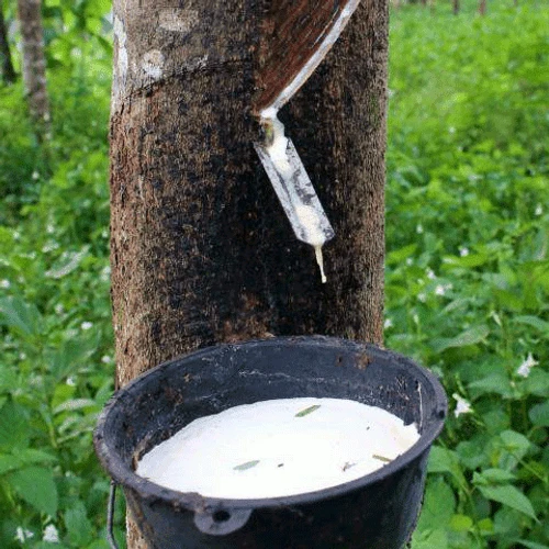 Saddle Seat Stool 4 Saddle Seat Stool - Image 4